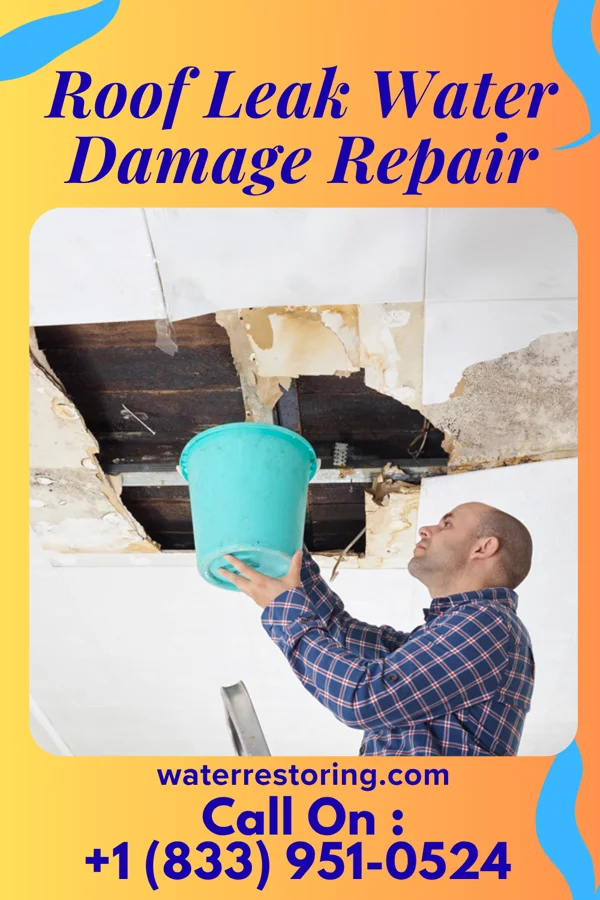 Roof Leak Water Damage Repair in Burleson, TX